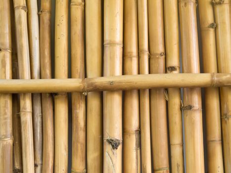 Background texture pattern of many parallel dried bamboo stick stalks with one lying across
