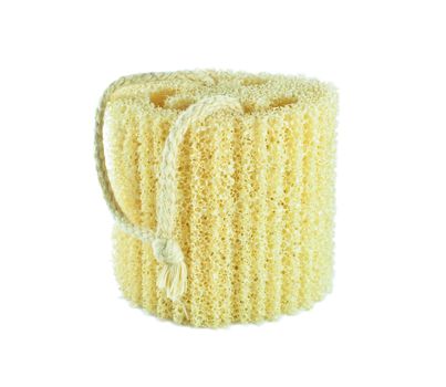 Natural scrubber of dried Ridge gourd