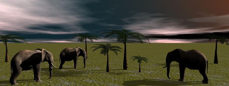 palms and elephants