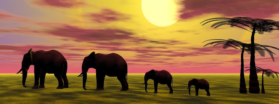 elephants and sunrise