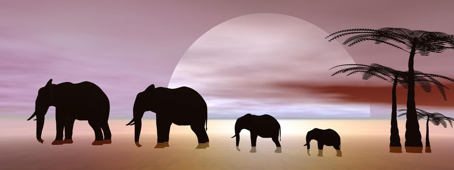 elephants and landscape