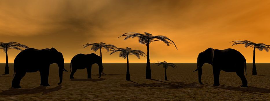 elephants and palms