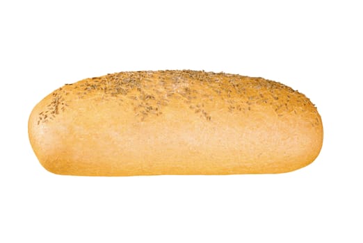 delicious bun with sesame seeds isolated