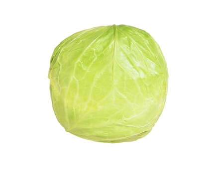 cabbage isolated