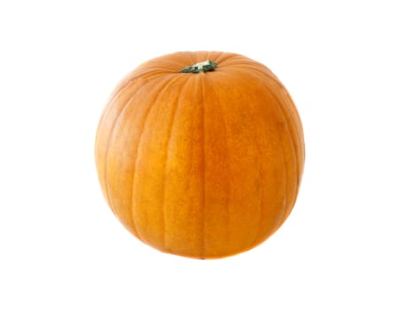 Single fresh pumpkin isolated on white background