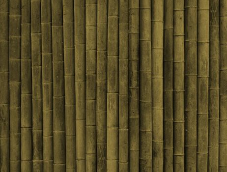 Bamboo texture