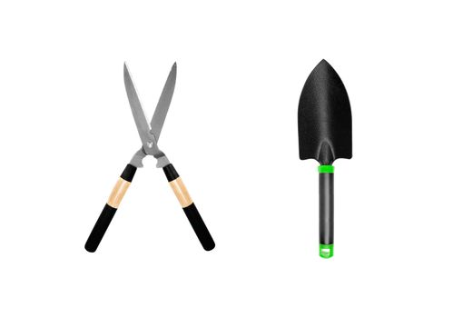 Garden tools isolated