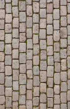 Pavement texture