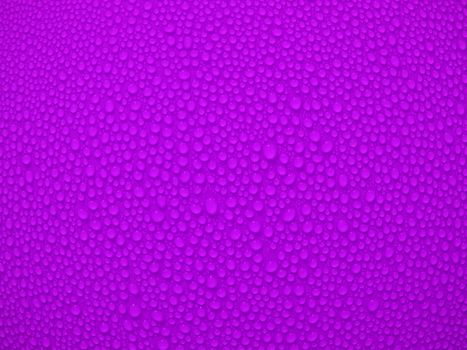 Water drop om purple background