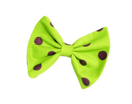 bowtie isolated