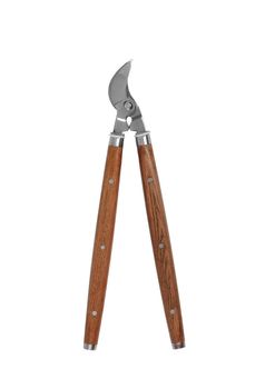 Secateurs isolated on white
