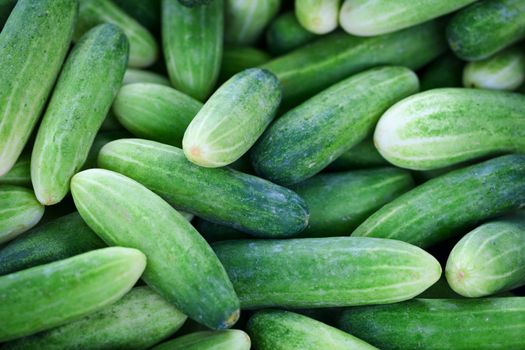 Cucumbers on the counter of the store - the background