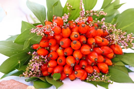 Bouquet of ripe rose hip fruits
