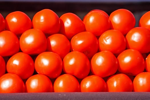 Red tomatoes on local market for sale