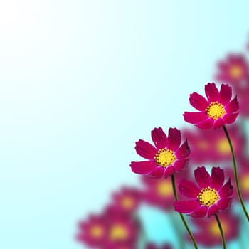 red flowers on thin stems on a blue background