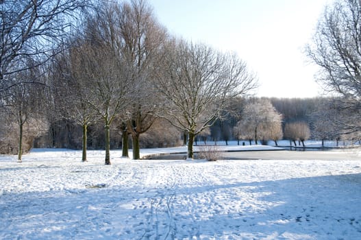 dutch landscape in the snow