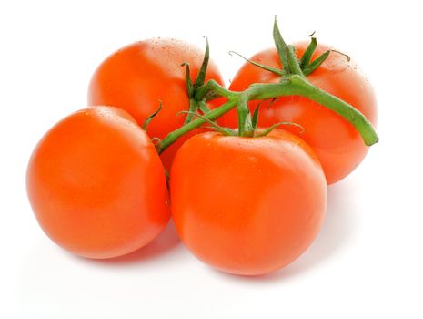 Four Fresh Ripe Tomatoes isolated on white background