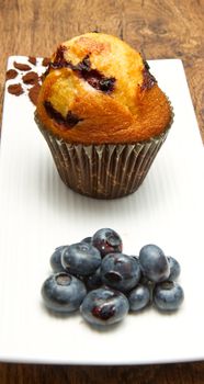 Home made chocolate chip muffin with blueberry