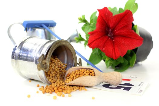 a bucket of slow release fertilizer in front of white background