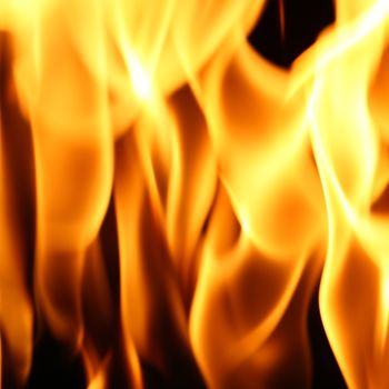 fire flame close up on black background