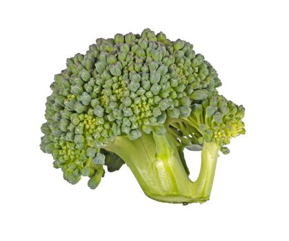 Macro image of a floret of broccoli (Brassica oleracea var. botrytis) isolated against a white background