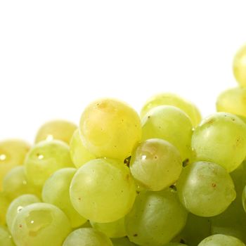 green grape isolated on white background