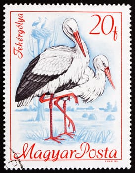 HUNGARY - CIRCA 1968: a stamp printed in the Hungary shows White Storks, Ciconia Ciconia, Bird, circa 1968