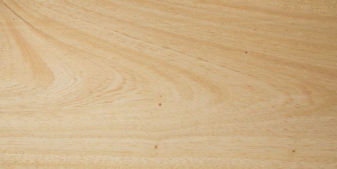 Texture of wood background