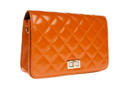 luxury leather female bag isolated on white