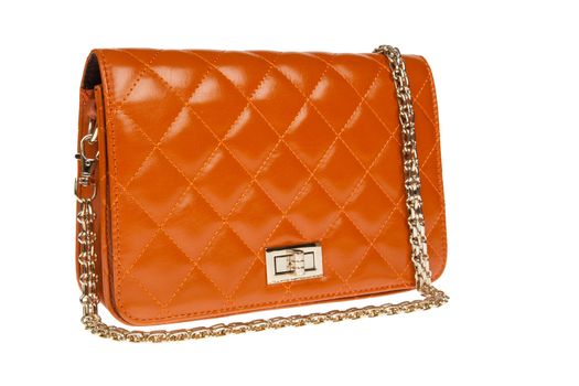 luxury leather female bag isolated on white