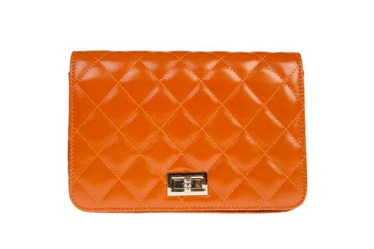 luxury leather female bag isolated on white