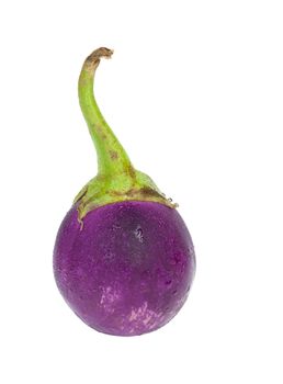 purple eggplant