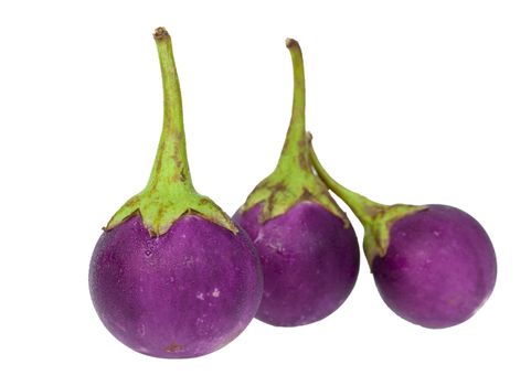 purple eggplant