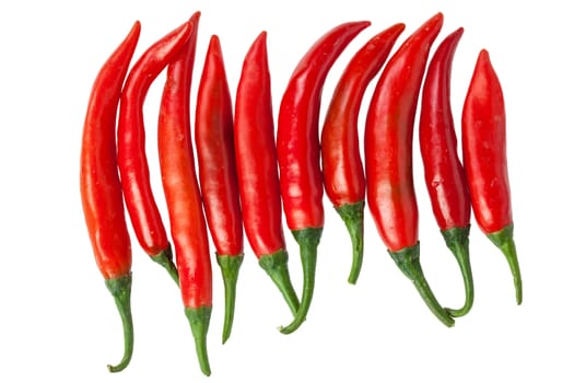 Red chili peppers isolated on the white