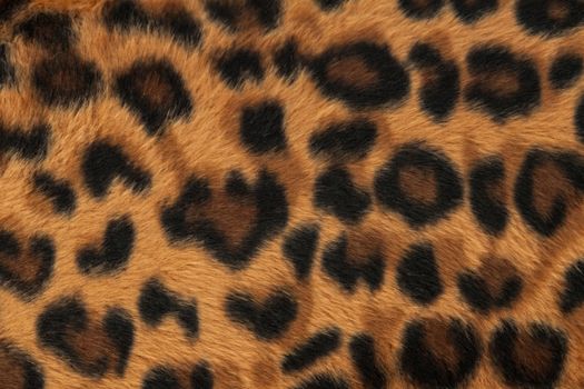 leopard or jaguar skin pattern background