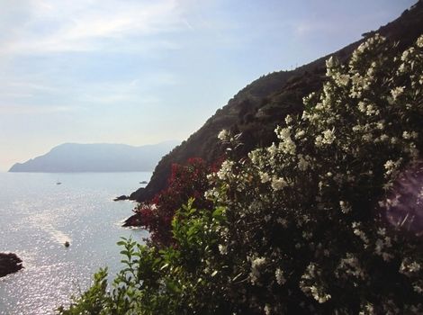 Italian coast in Liguria                            