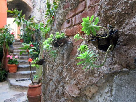 Village on Italian coast in Liguria                               