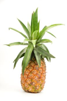 pineapple isolated on white background