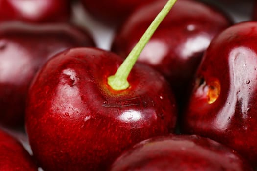Great detailed macro of delicious fresh ripe red cherries with bright green stem, perfect food background.