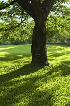 Green Park