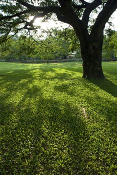 Green Park