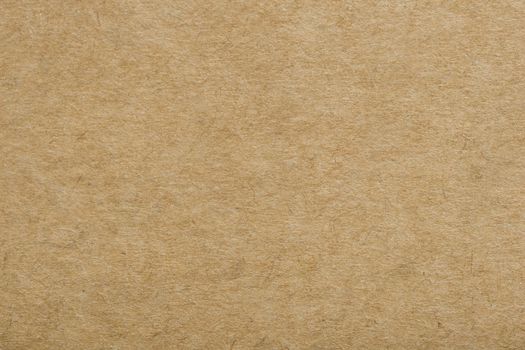 Cardboard Texture