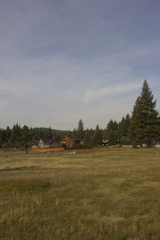 a cabin in truckee ca. in a meadow just out of down.