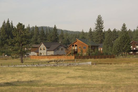 a cabin in truckee ca. in a meadow just out of down.