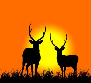 silhouette of deer with sunset 