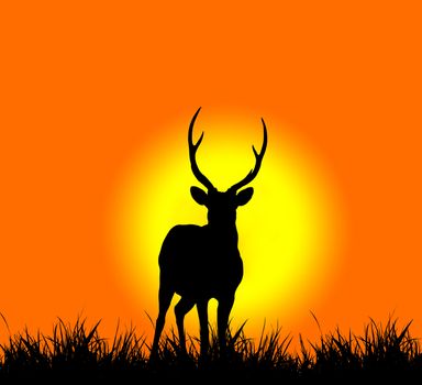silhouette of deer with sunset 