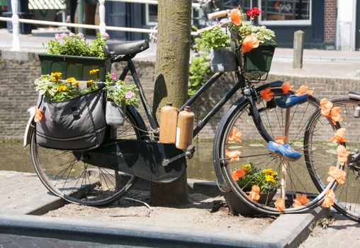 old bike in Holland with orange flowers bottle of drink and wooden shoes