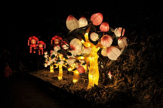 Chinese light festival in Holland Europe