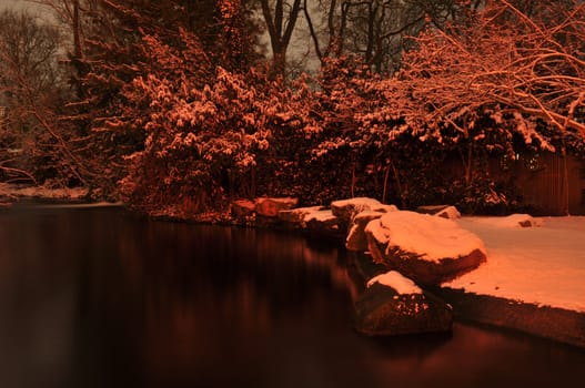 evening garden with trees and water in winter