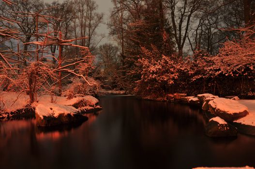 evening garden with trees and water in winter
